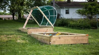 How can I have a Raised Garden Bed