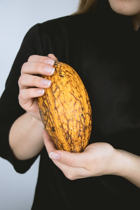 Cocoa pods